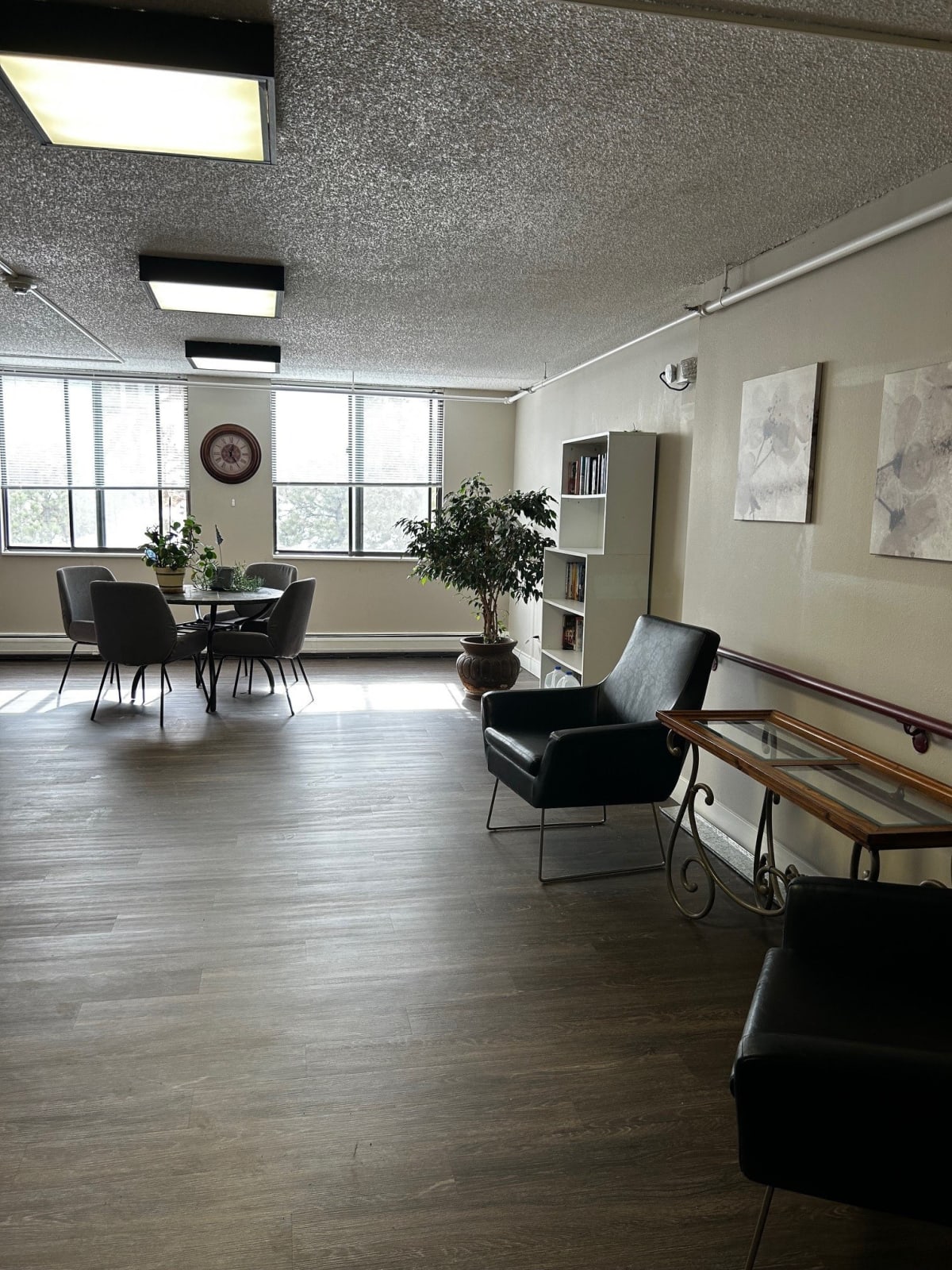 Photos and Video of Green Ridge Meadows in Evergreen, CO